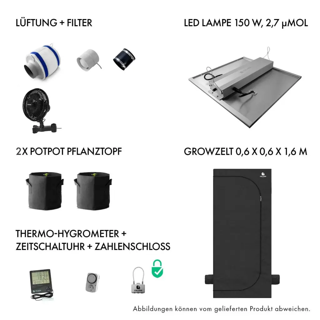 Caluma Komplettset 1 Pflanze (60 x 60 cm, 75 W)