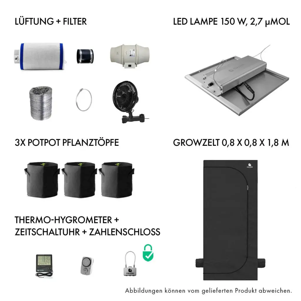 Caluma Komplettset 2 Pflanzen (80 x 80 cm, 150 W)