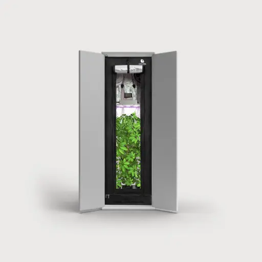 [901000] Caluma Caluma Readymade 100 Komplettset 2.0