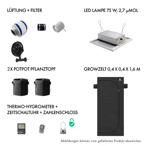 [901001] Caluma Komplettset 1 Pflanze (40 x 40 cm, 75 W)